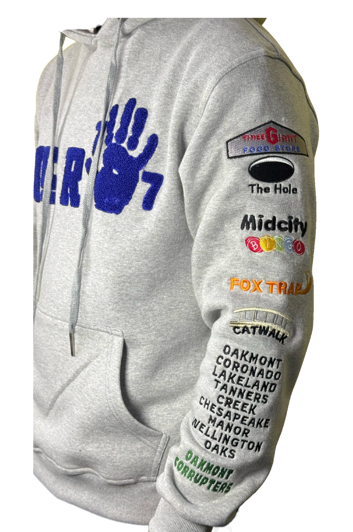 "NORVIEW" CHENILLE EMBROIDERED HOODIE